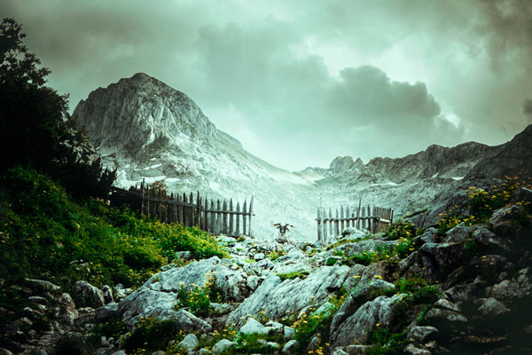 Photograph Marko Radovanovic Gatekeeper on One Eyeland